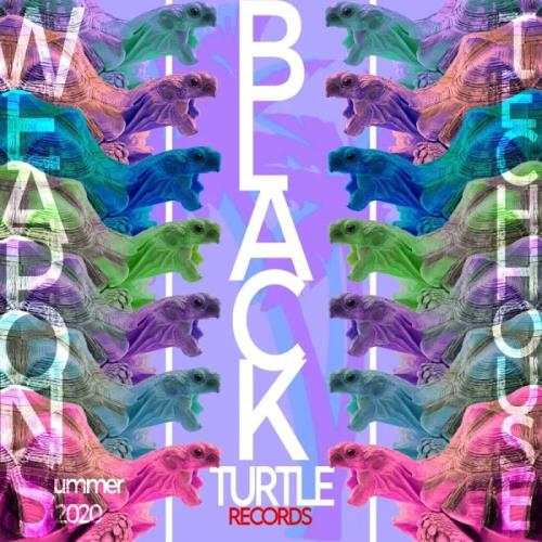 Black Turtle Weapons: Tech House Summer 2020 (2020)