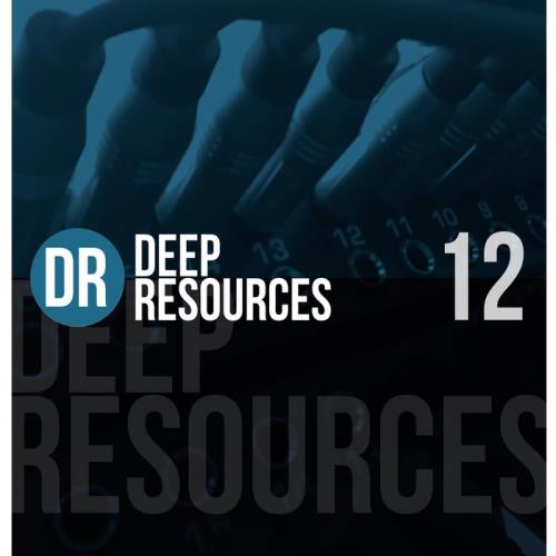 Deep Resources, Vol. 12 %delete_1%(2020)%delete_1%